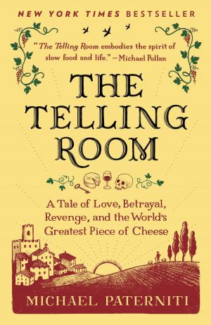 Book cover of The Telling Room