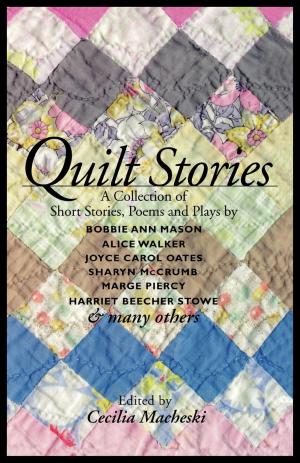 Cover of the book Quilt Stories by Susannah Walker