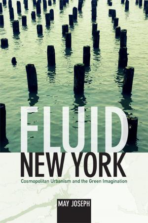 Cover of the book Fluid New York by John Thornton Caldwell, Lynn Spigel
