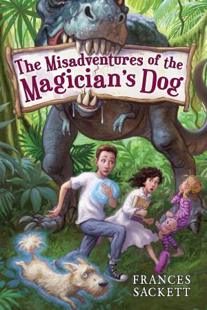 Cover of the book The Misadventures of the Magician's Dog by Susan Lynn Meyer