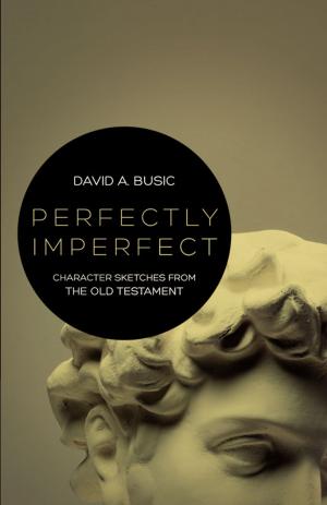 Cover of the book Perfectly Imperfect by Prince, Rob