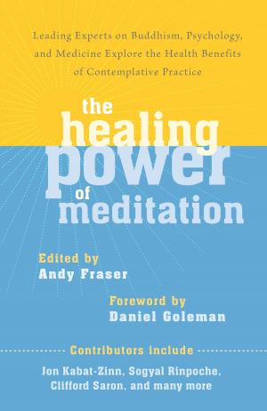 Cover of the book The Healing Power of Meditation by Robert H. Hopcke