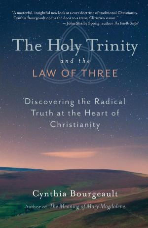 Cover of the book The Holy Trinity and the Law of Three by Kazuaki Tanahashi, Peter Levitt