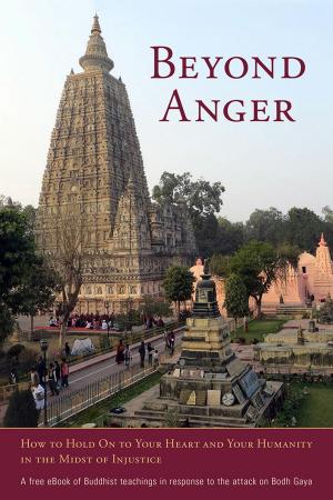 Cover of the book Beyond Anger by Lama Dudjom Dorjee