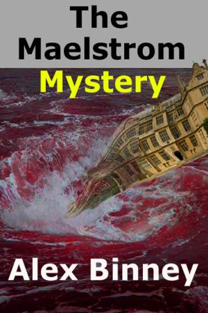 bigCover of the book The Maelstrom Mystery by 