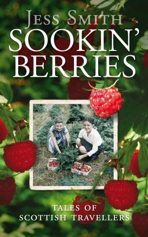 Cover of the book Sookin' Berries by Stephen Jones, Nick Cain