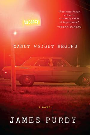 Cover of the book Cabot Wright Begins: A Novel by Winston Groom