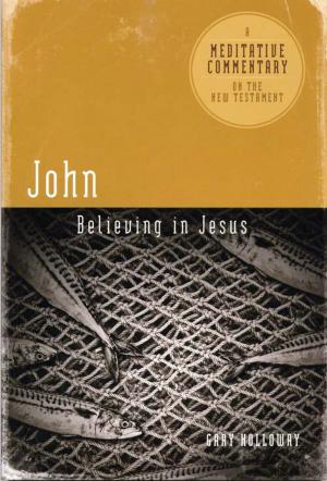 Cover of the book John by Joe E. Morris