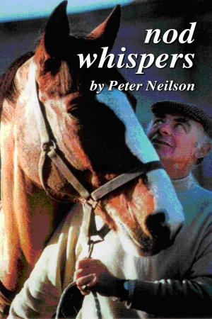 Book cover of Nod Whispers