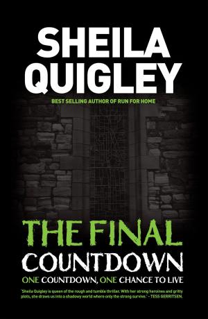Cover of The Final Countdown