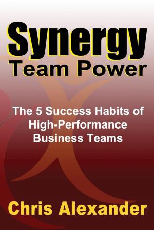 Book cover of Synergy Team Power