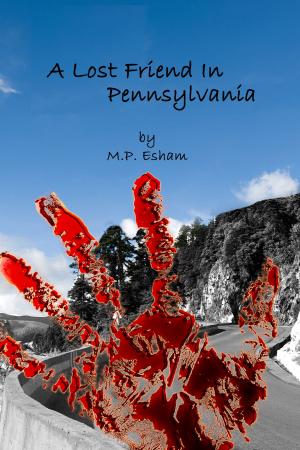 Book cover of A Lost Friend In Pennsylvania