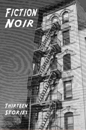 Book cover of Fiction Noir: Thirteen Stories