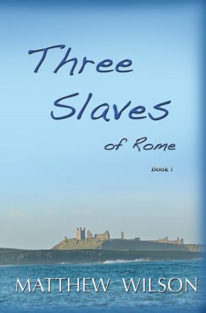 Cover of the book Three Slaves of Rome Book One by M.D. Robinson