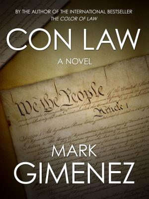 Cover of the book Con Law by Janet Pywell