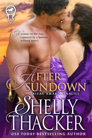 Book cover of After Sundown