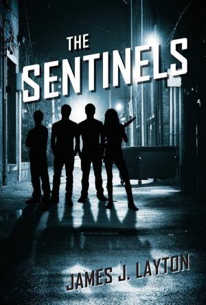 Cover of the book The Sentinels by Phillip[ C. Wright