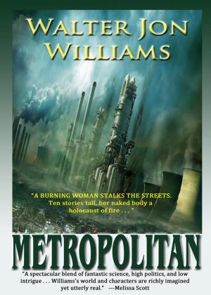 Cover of the book Metropolitan by Aaron Majewski