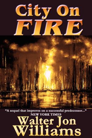 Cover of City on Fire (Metropolitan 2)