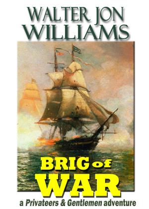 Book cover of Brig of War (Privateers & Gentlemen)