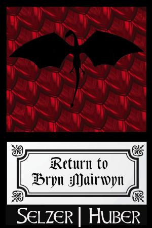 Cover of the book Return to Bryn Mairwyn (A Short Story) by Timothy Paterson