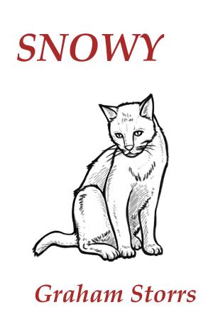 Cover of the book Snowy by Edgar Allan Poe, Félix Rabbe