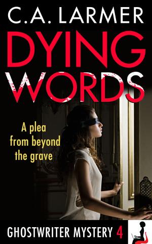 bigCover of the book Dying Words (Ghostwriter Mystery 4) by 
