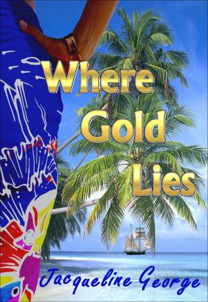 Cover of the book Where Gold Lies by Robert Christian Schmitte
