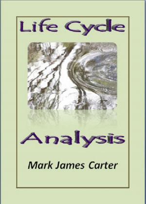 Book cover of Life Cycle Analysis