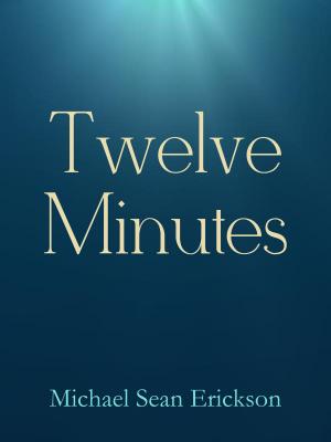 Book cover of Twelve Minutes