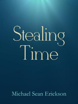 Book cover of Stealing Time