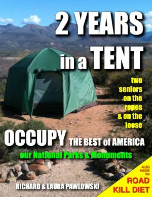 Cover of the book 2 Years in a Tent by D. L. Logan