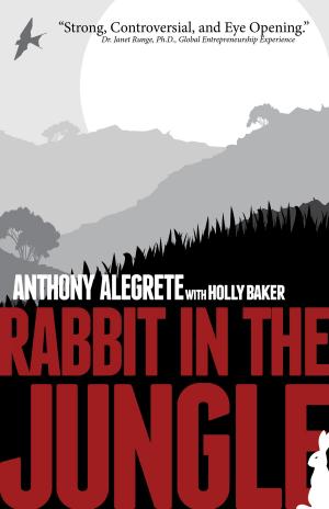 Book cover of Rabbit in the Jungle