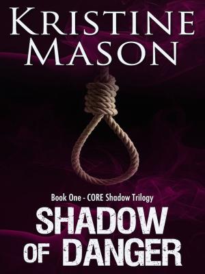 Cover of the book Shadow of Danger by Kristine Mason