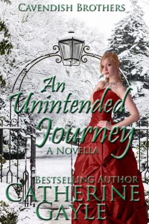 Cover of the book An Unintended Journey by Jane Charles