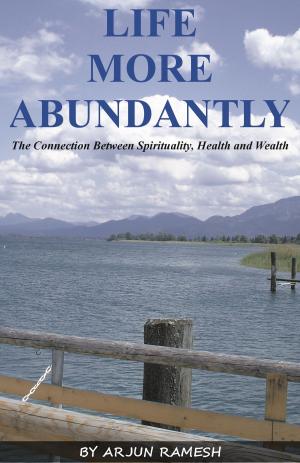 Cover of the book Life More Abundantly: The Connection Between Spirituality, Health and Wealth by Beran Parry