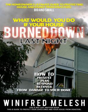 Cover of the book What Would You Do If Your House Burned Down Last Night by 