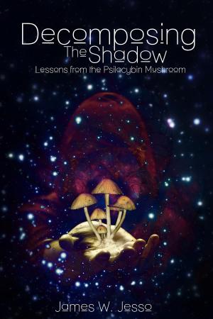 Cover of the book Decomposing The Shadow by Steve Pavlina, Ana Carvajal