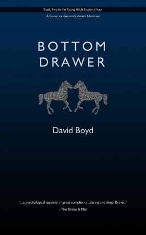 Book cover of Bottom Drawer