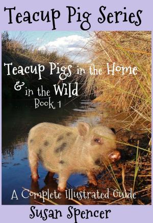 Cover of Teacup Pigs in the Home and in the Wild