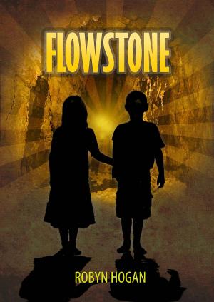 Cover of the book Flowstone by Martin R. Judge