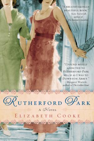 Cover of the book Rutherford Park by Ann Aguirre