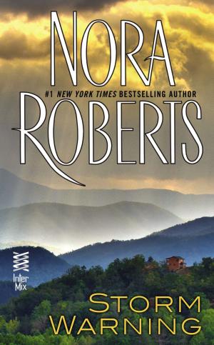 Cover of the book Storm Warning by Nora Roberts