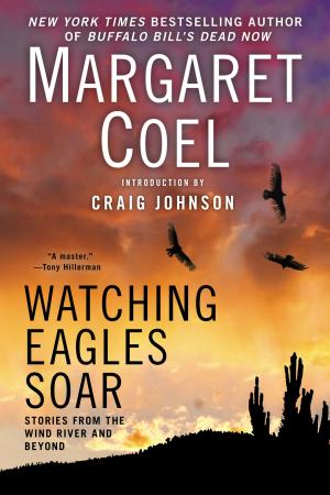 Cover of the book Watching Eagles Soar by Sharon Rowse