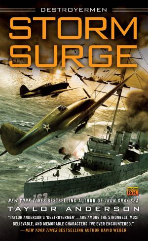 Cover of the book Storm Surge by Beverly Swerling