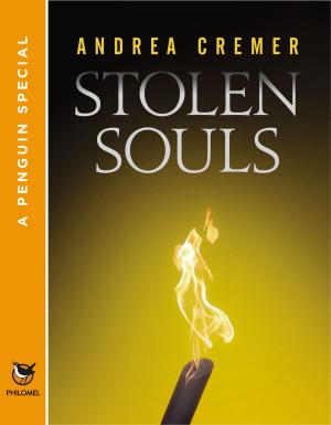 Cover of the book Stolen Souls by Remco op den Dries