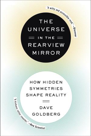 Cover of the book The Universe in the Rearview Mirror by Art Corriveau