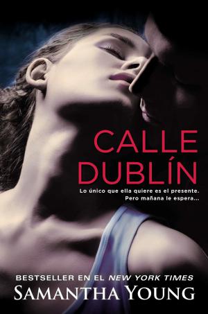 Cover of the book Calle Dublín by Laurell K. Hamilton