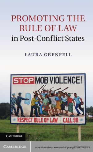 Cover of the book Promoting the Rule of Law in Post-Conflict States by Robert H. Anderson, Diane E. Spicer, Anthony M. Hlavacek, Andrew C. Cook, Carl L. Backer