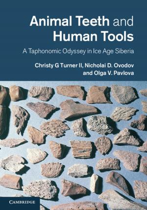 Book cover of Animal Teeth and Human Tools